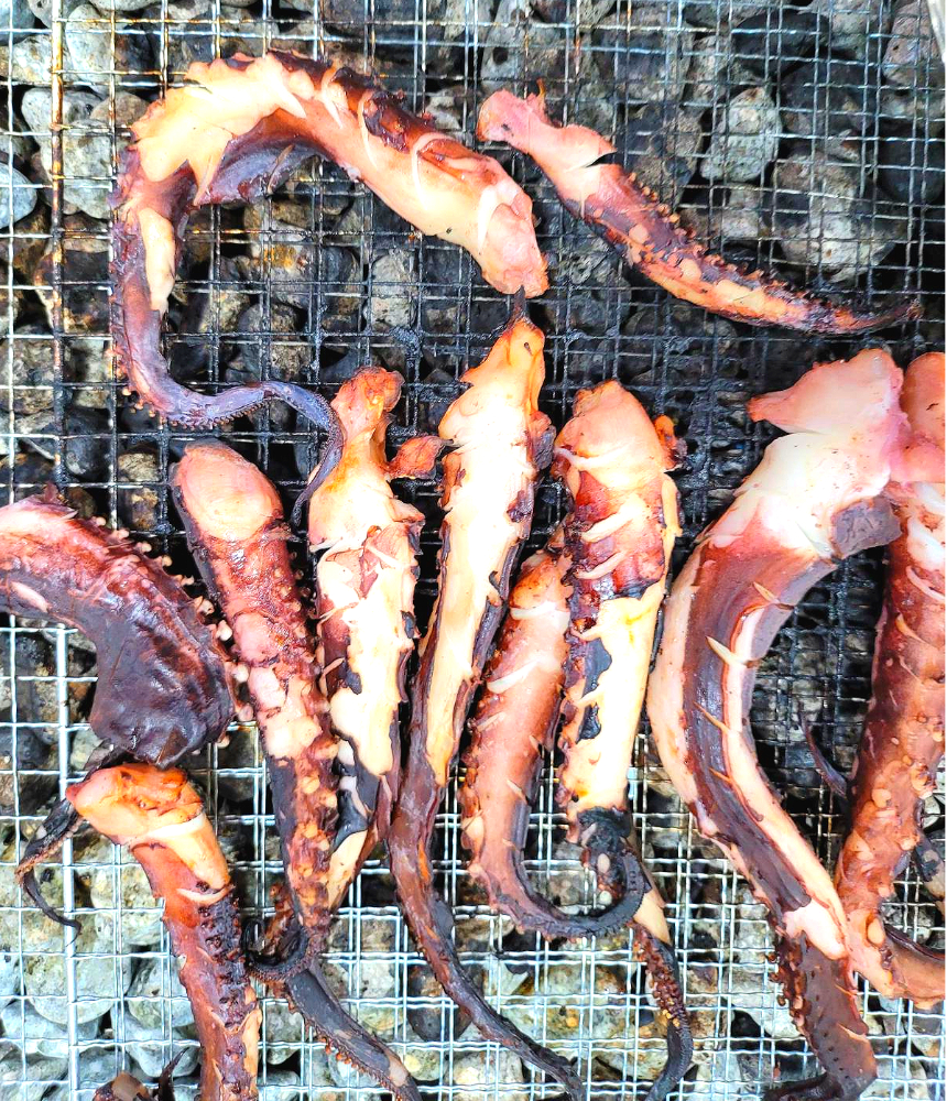 통통건어물