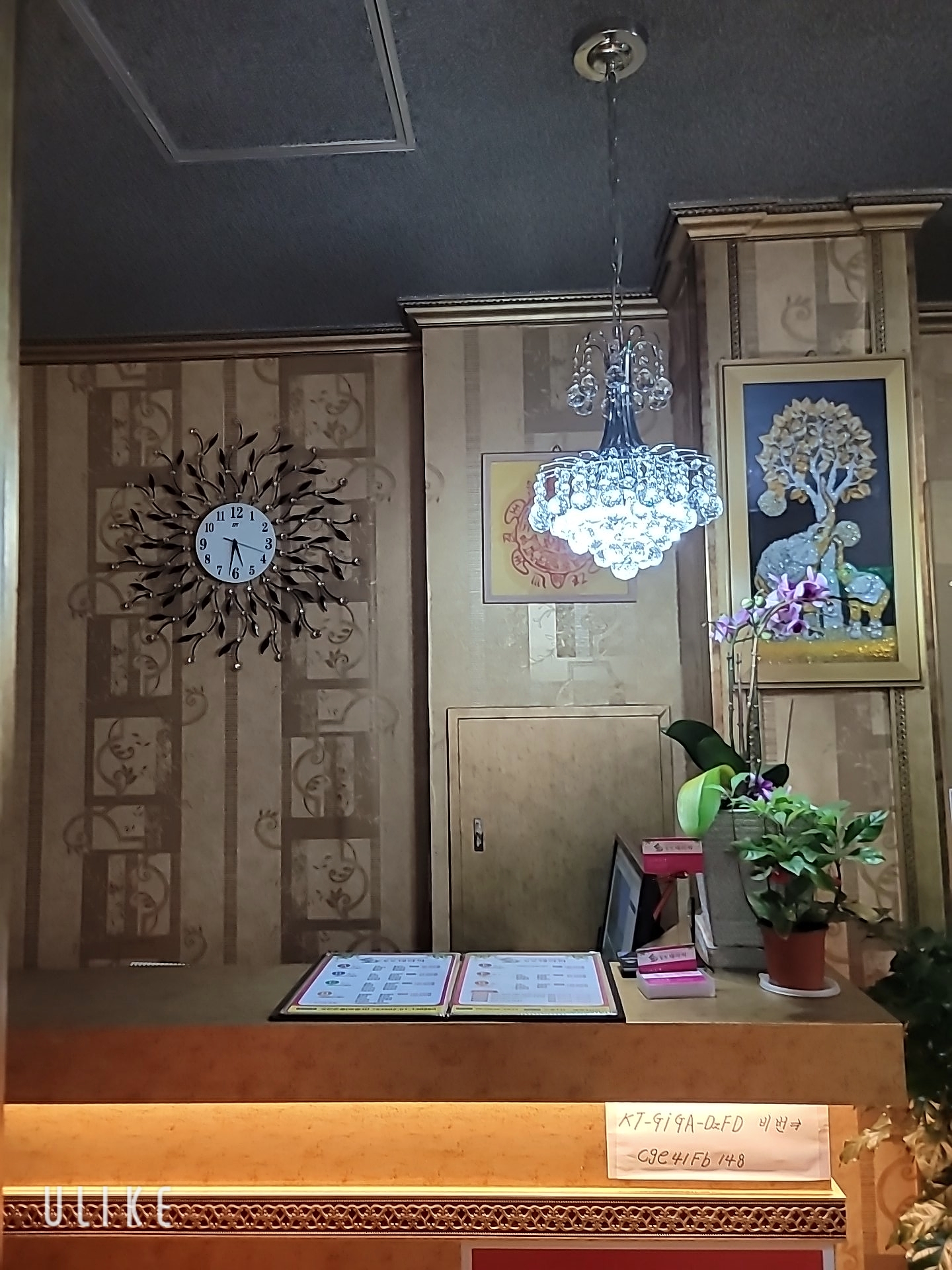 숲힐링테라피 photo 7