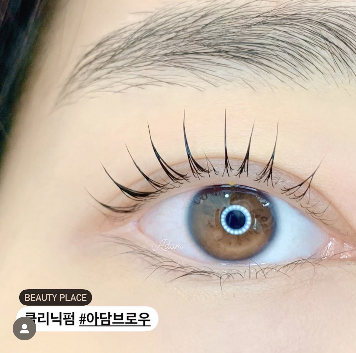 아담 눈썹왁싱속눈썹