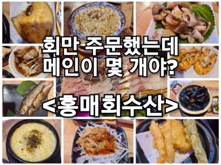홍매회수산