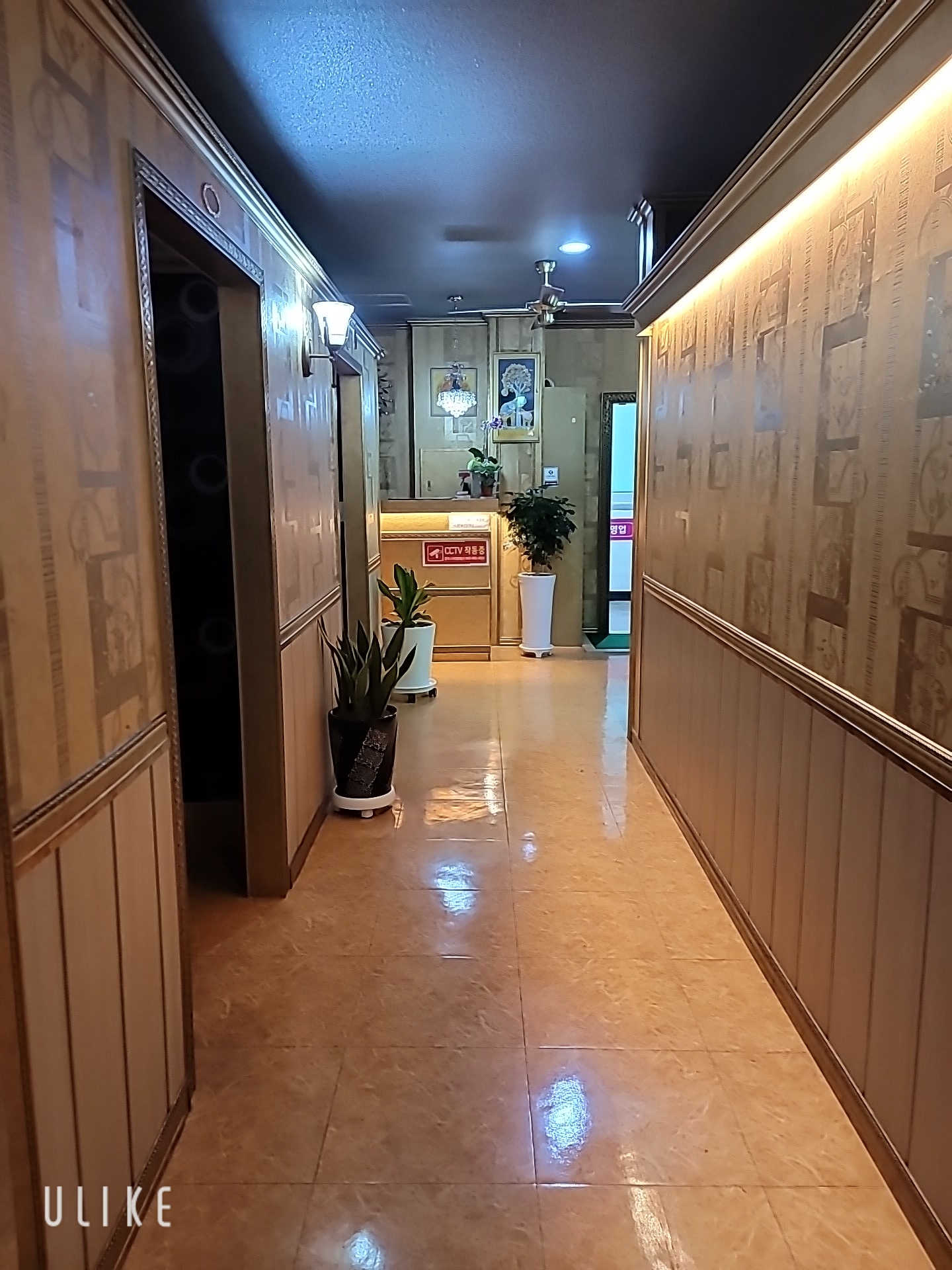 숲힐링테라피 photo 5