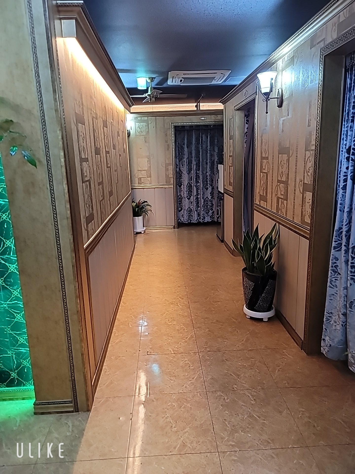 숲힐링테라피