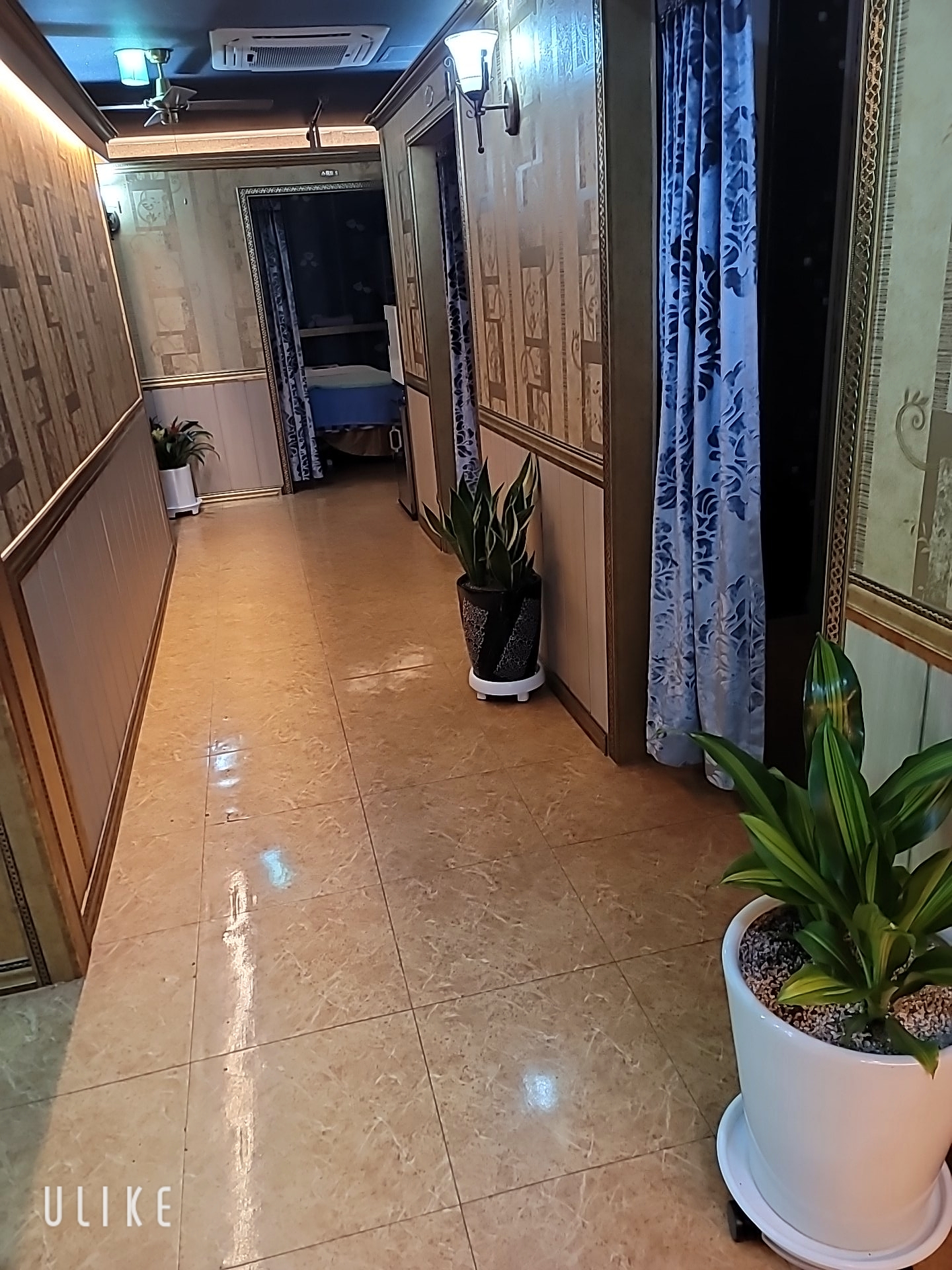 숲힐링테라피 photo 3