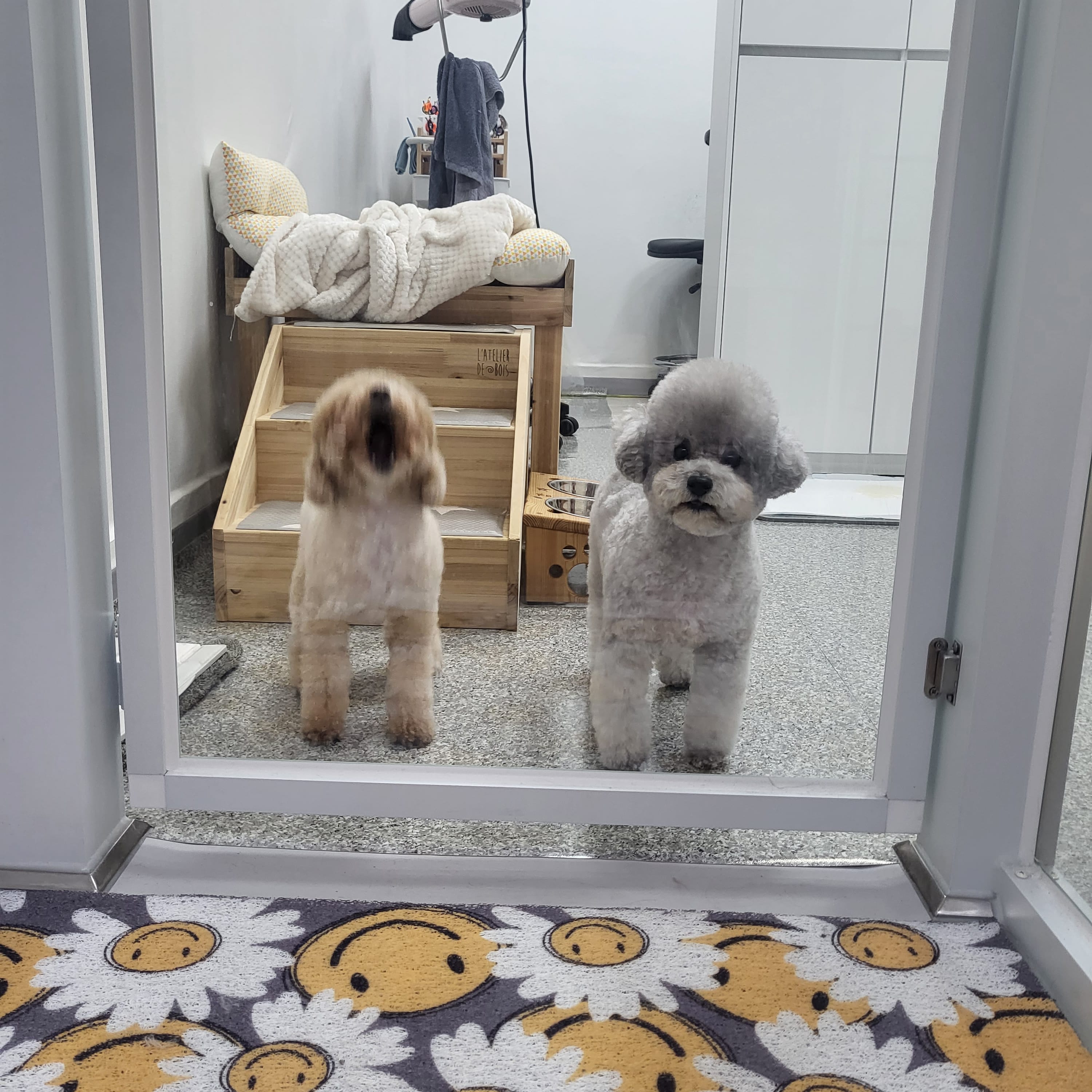 미래펫샵 대표 이미지