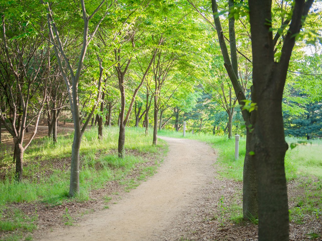 삼성노블카운티 너싱홈