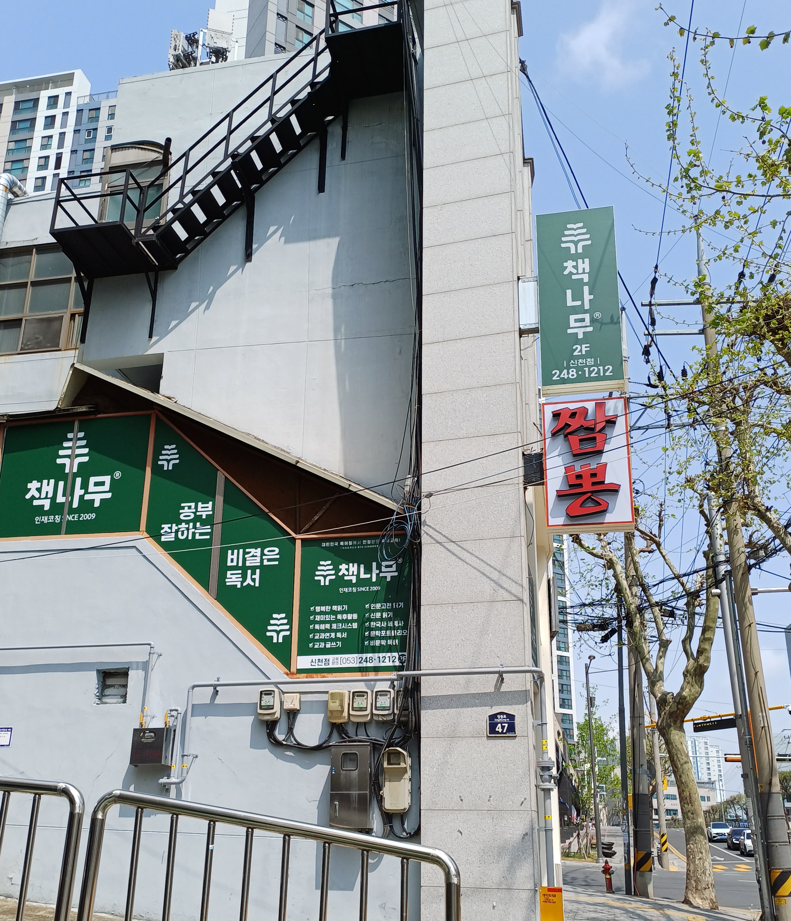 책나무 신천점