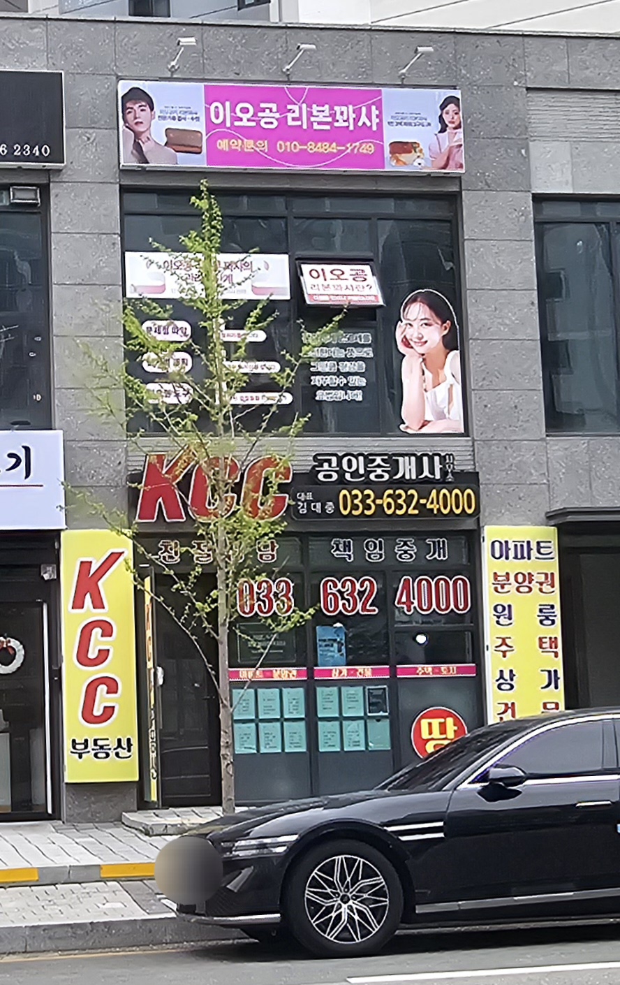 이오공 리본꽈샤 photo 2