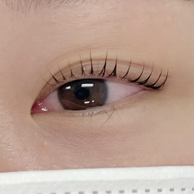 프롬여닝 대표 이미지