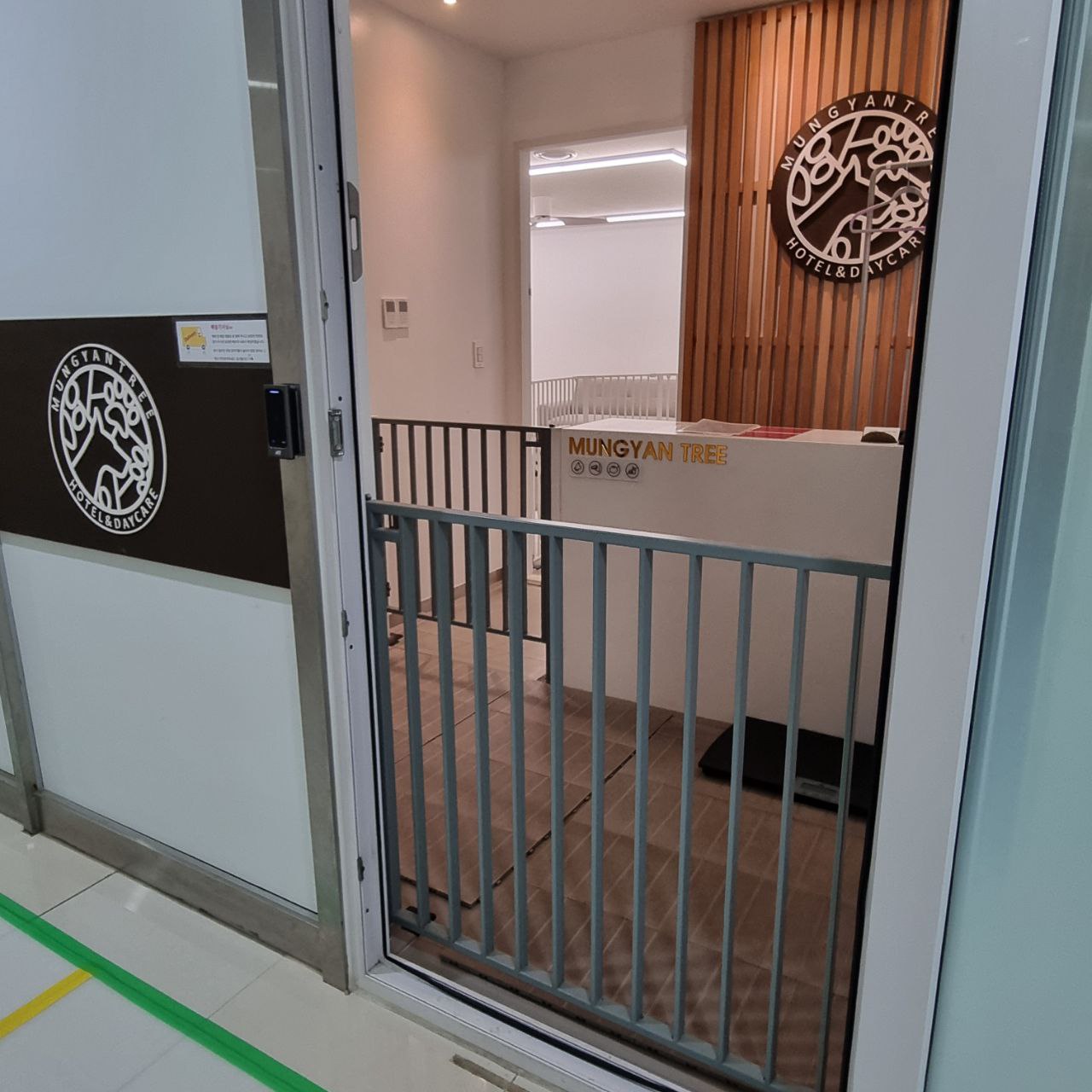 멍얀트리 대표 이미지