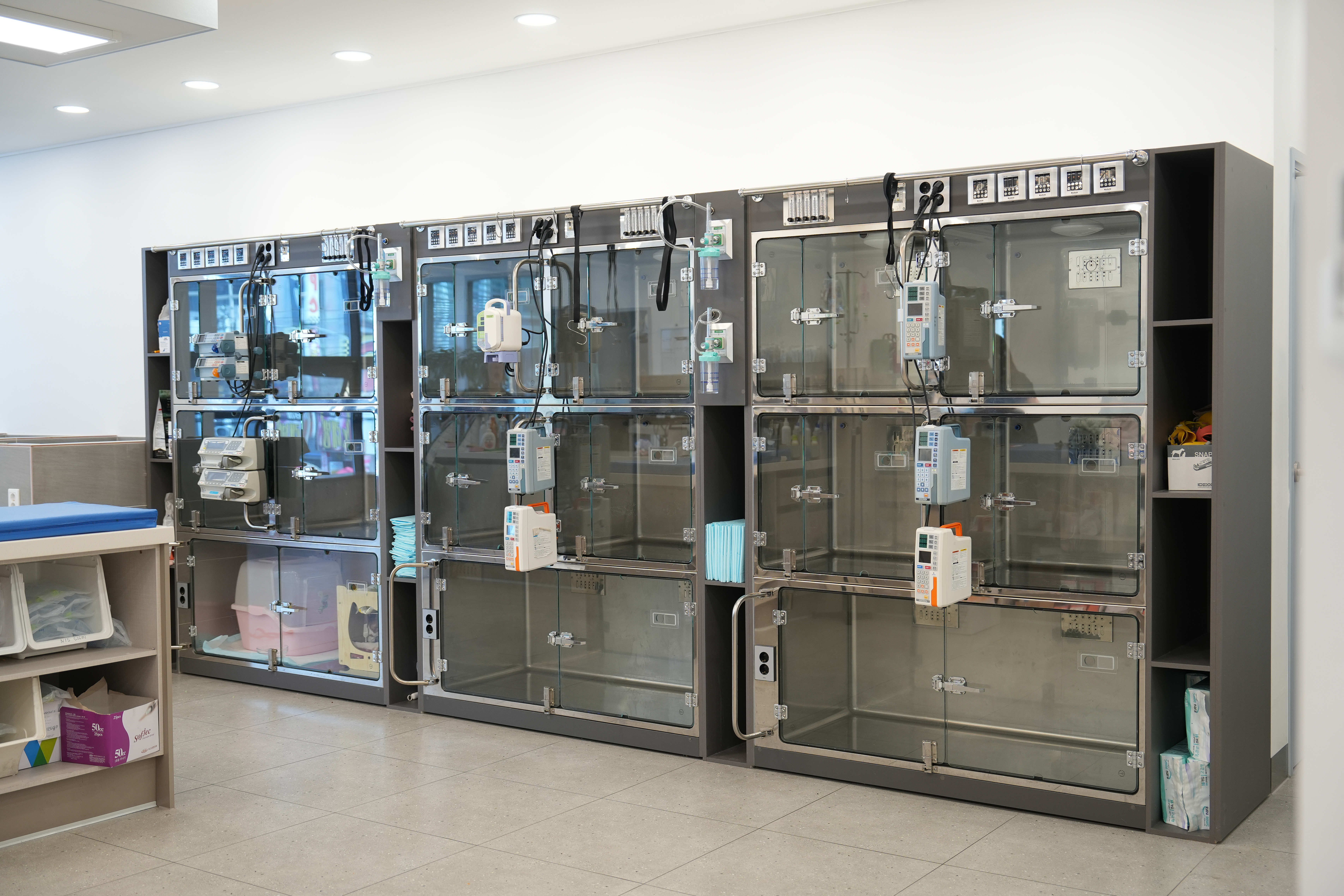 동대구동물의료센터 대표 이미지