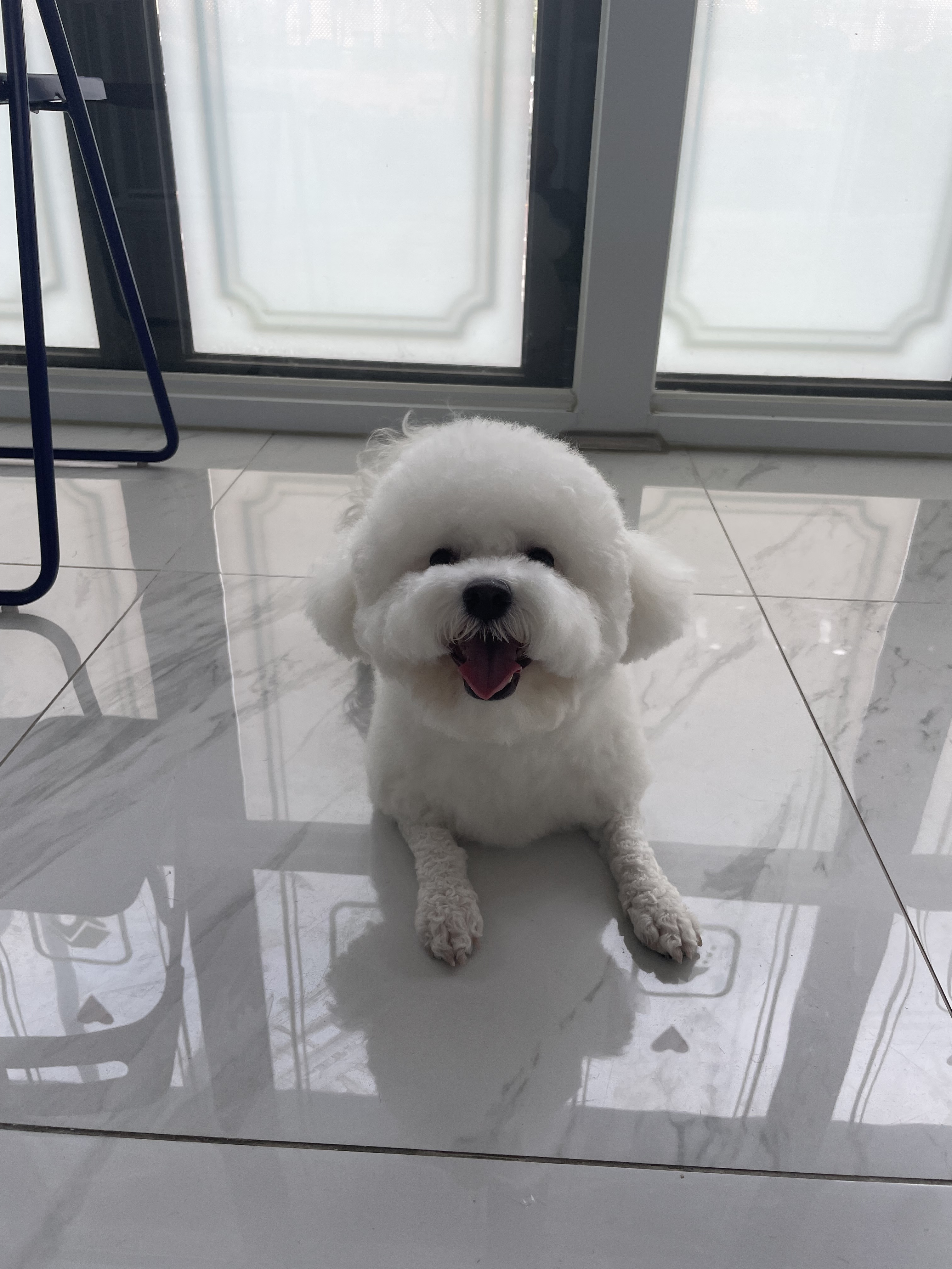 몽하트 대표 이미지