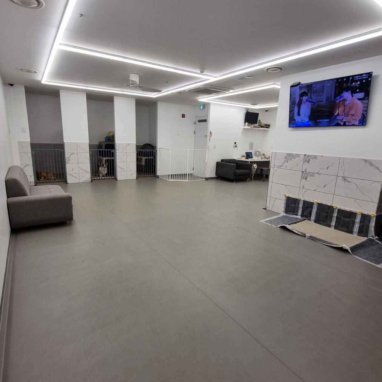 멍얀트리 대표 이미지