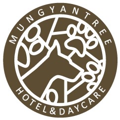 멍얀트리 대표 이미지