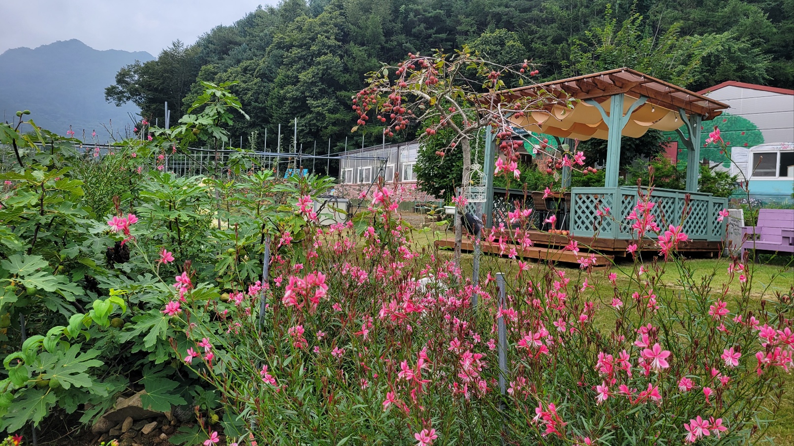 꽃피는산골농원