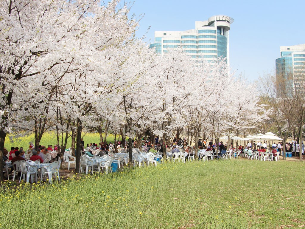 삼성노블카운티 너싱홈