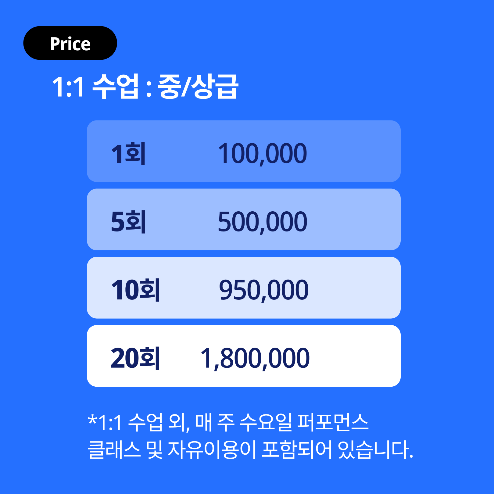 로켓 반려동물 동반 애견카페