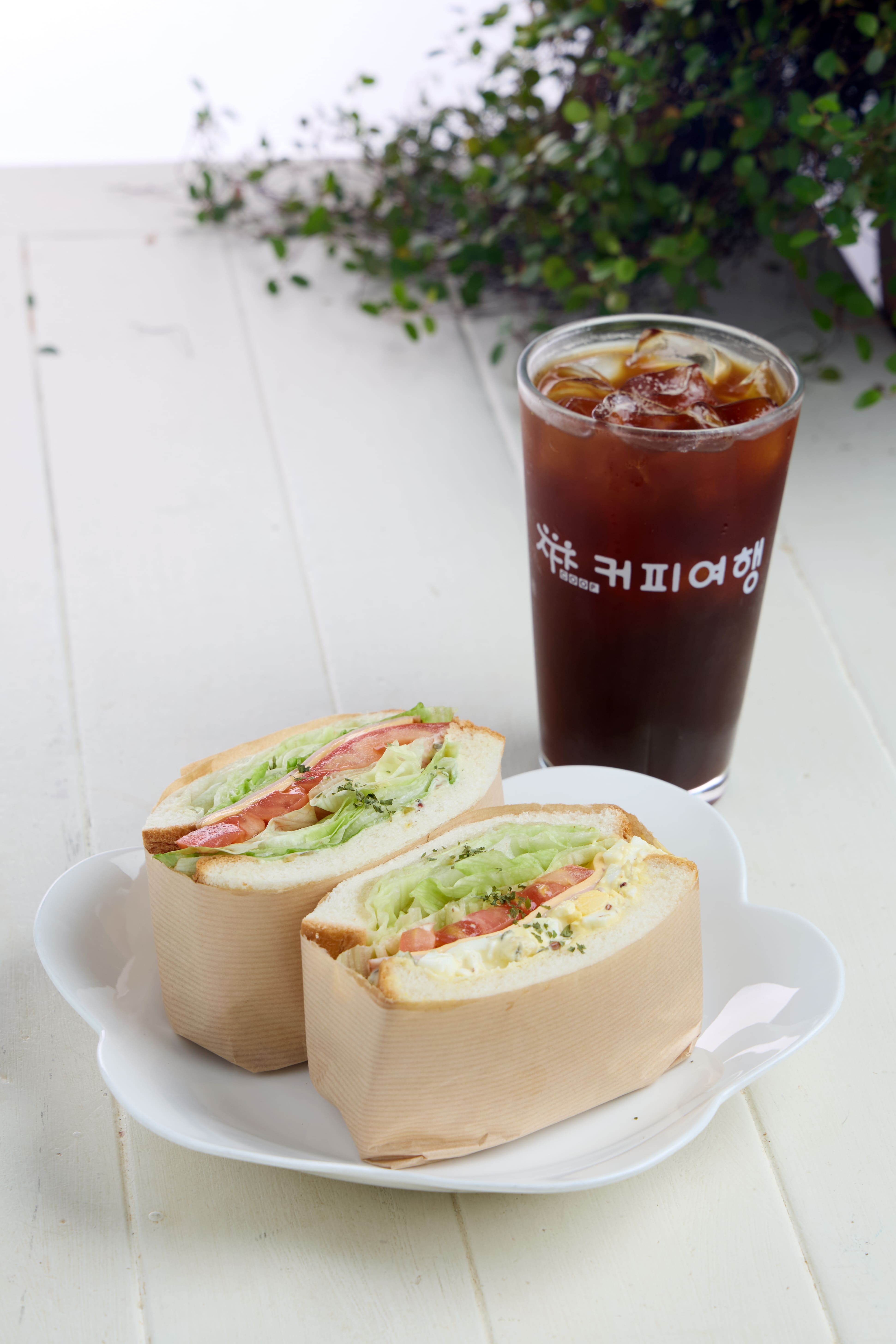 참살이협동조합 커피여행