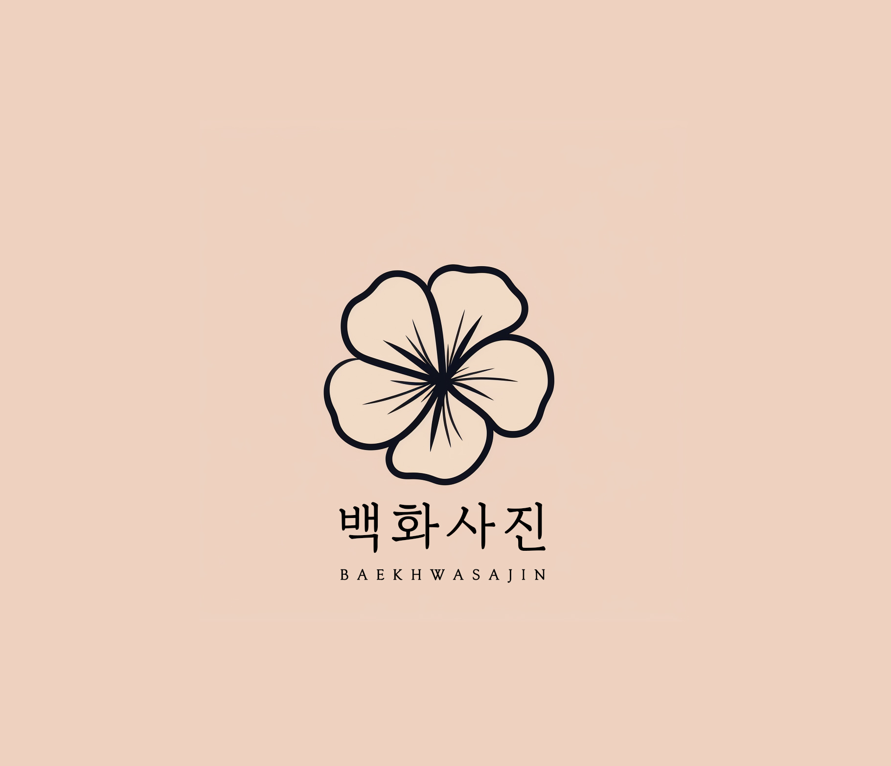 백화사진