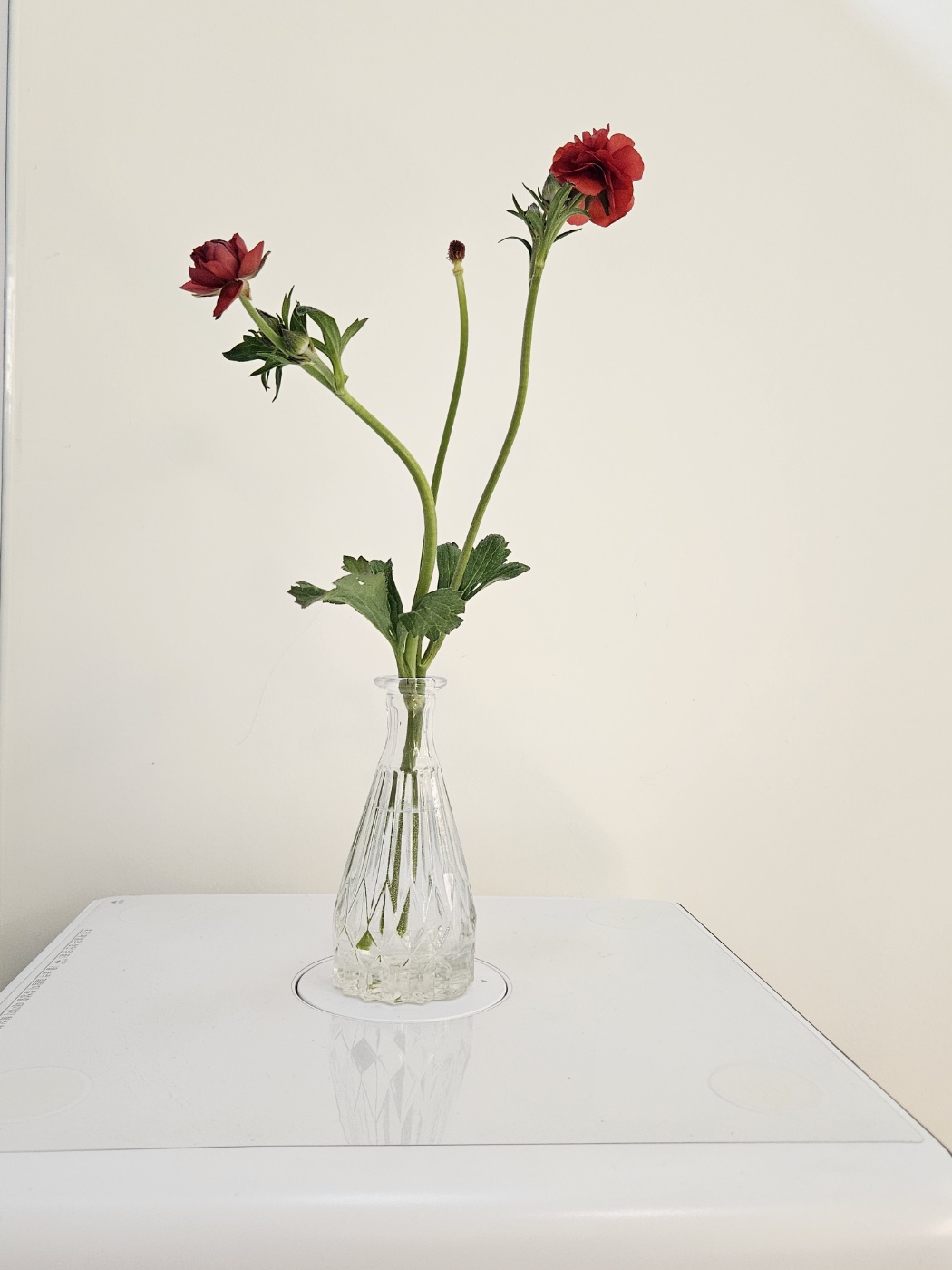 한스테라피 photo 5