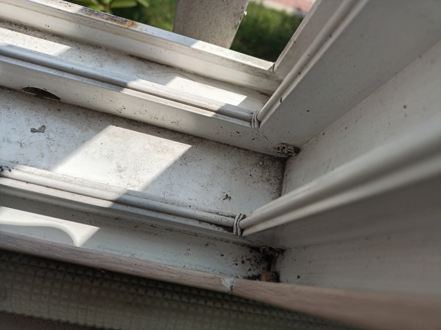 청소어때 대표 이미지