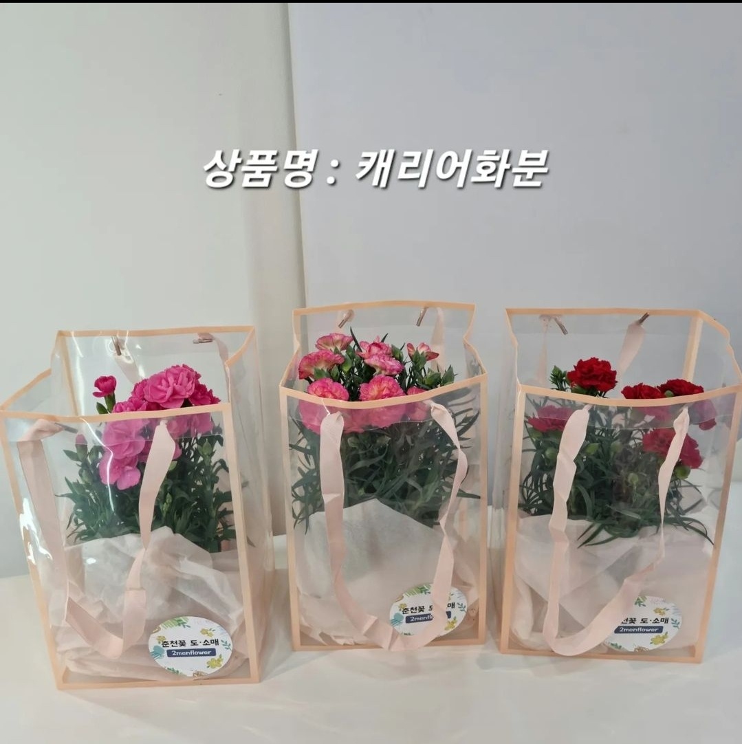 춘천꽃집 춘천꽃도소매 조은생화
