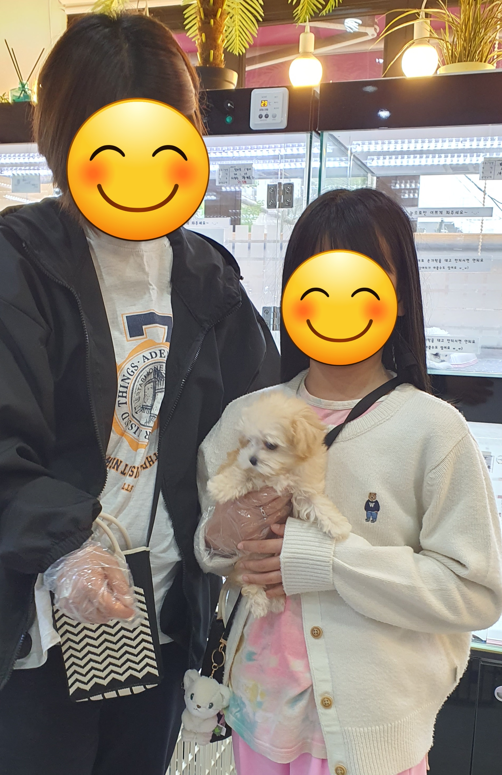 멍스펫 대표 이미지