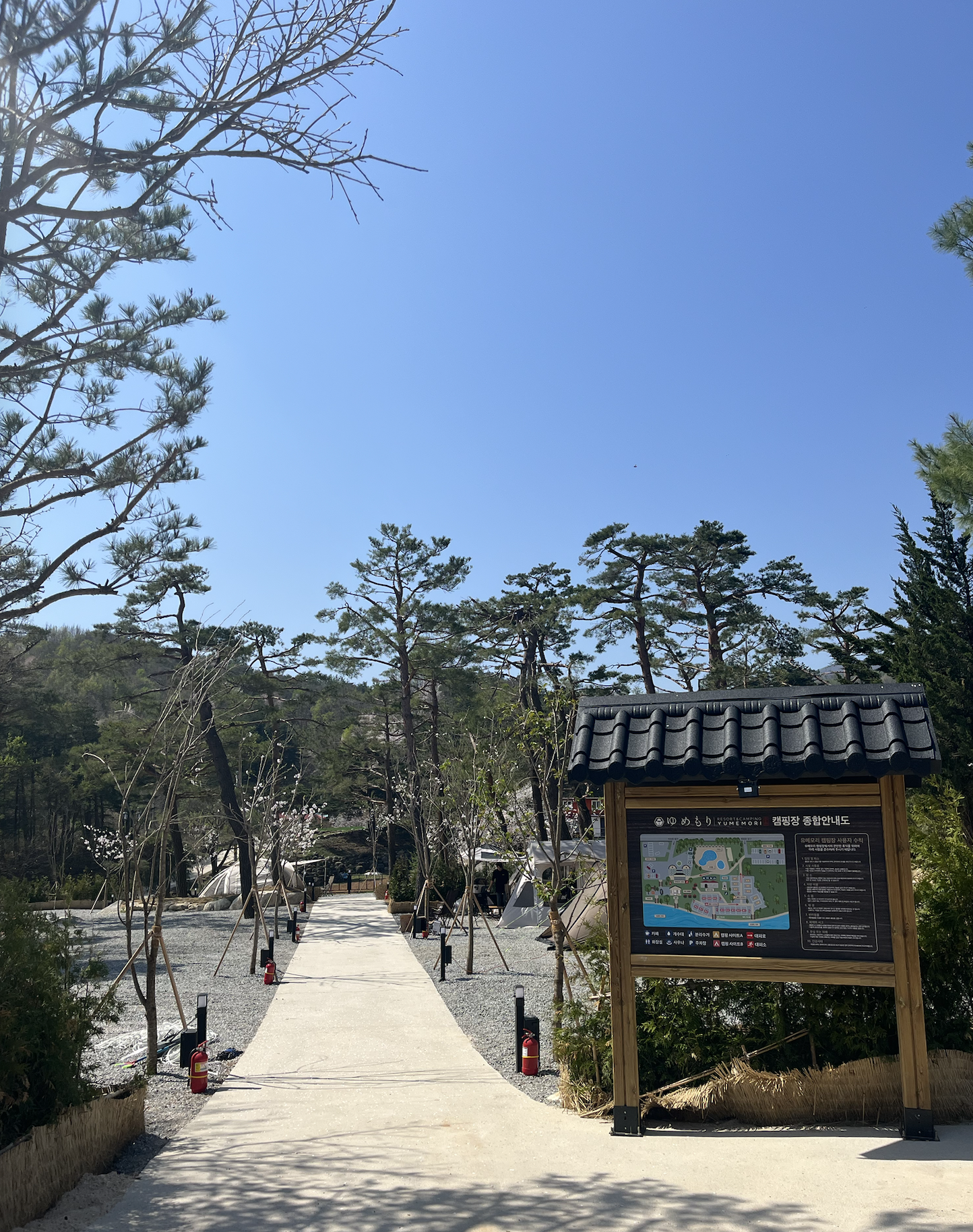 유메모리 캠핑