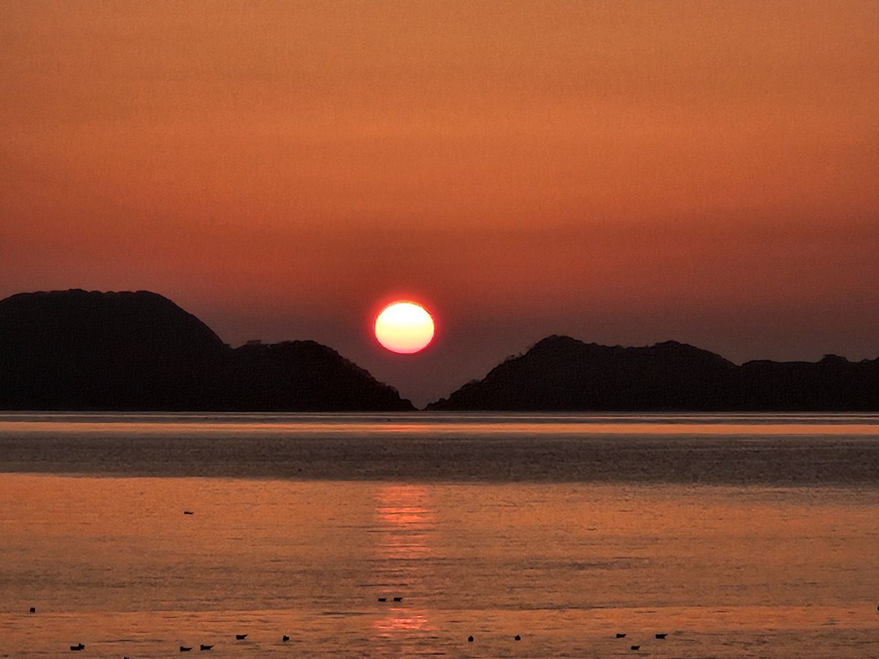 해바다펜션