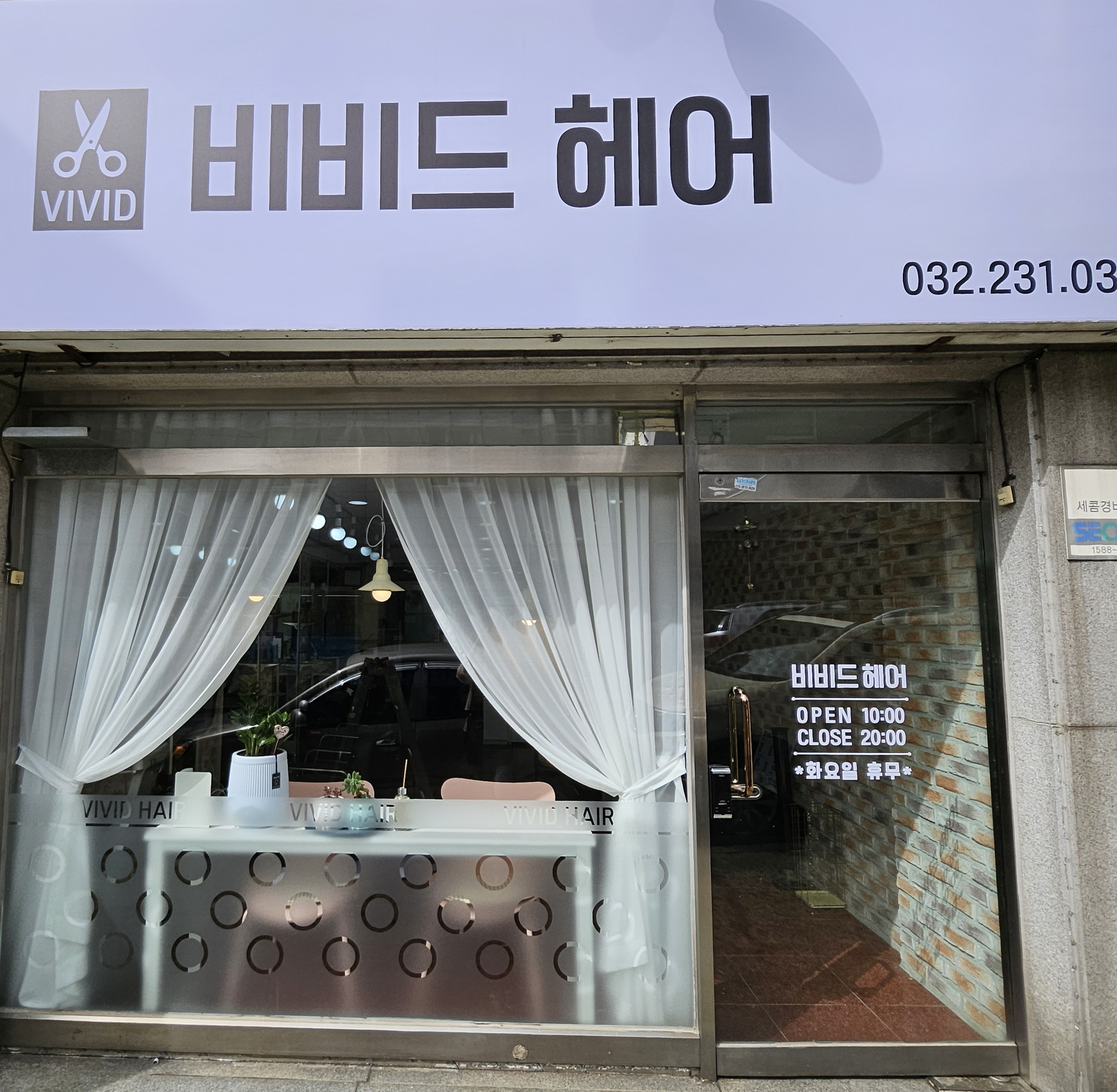 비비드헤어