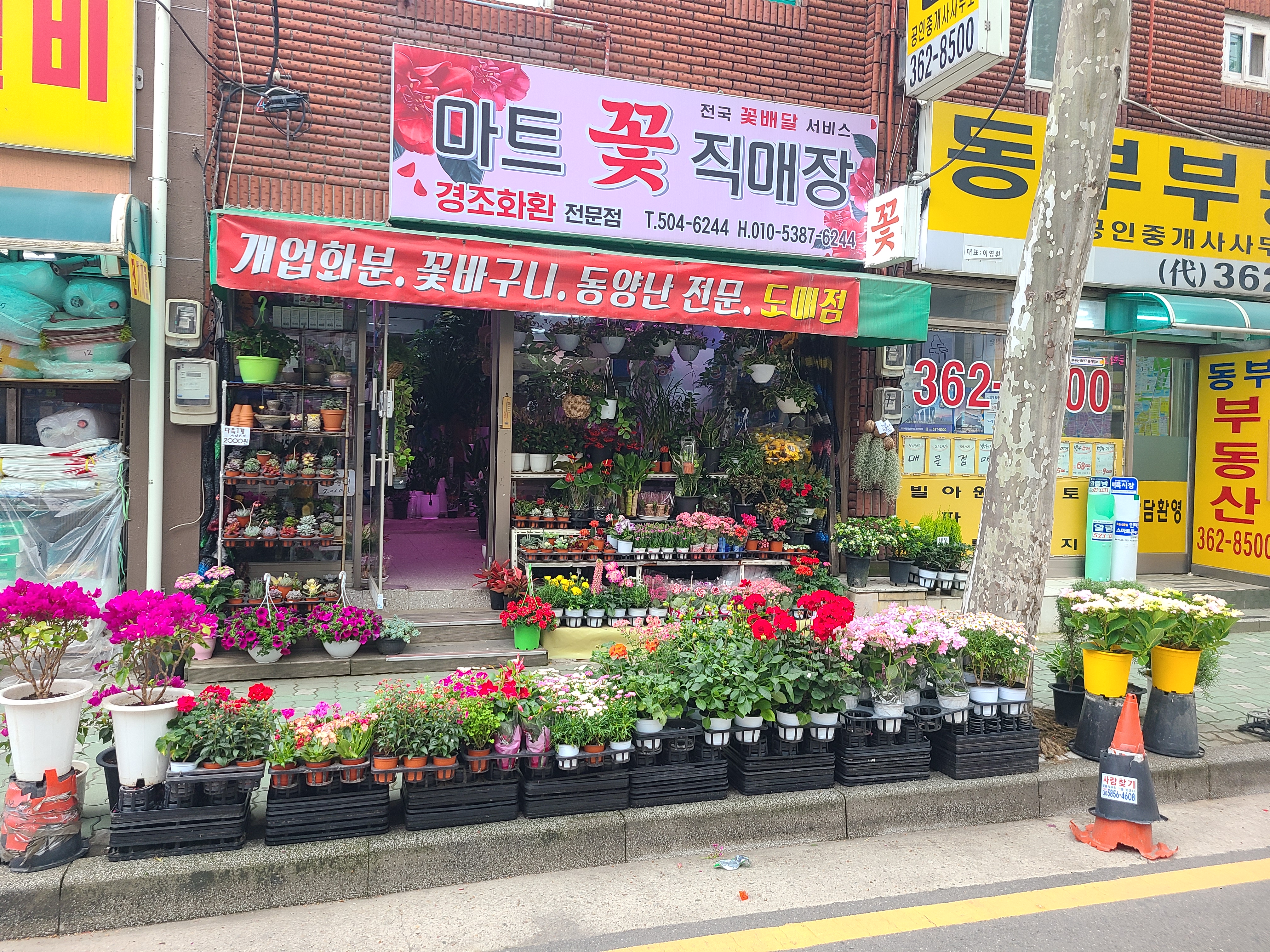 마트꽃직매장