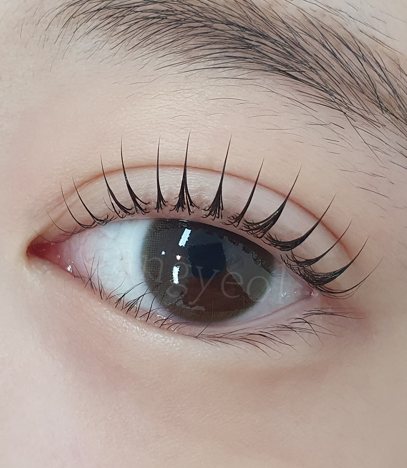 브로우 간결
