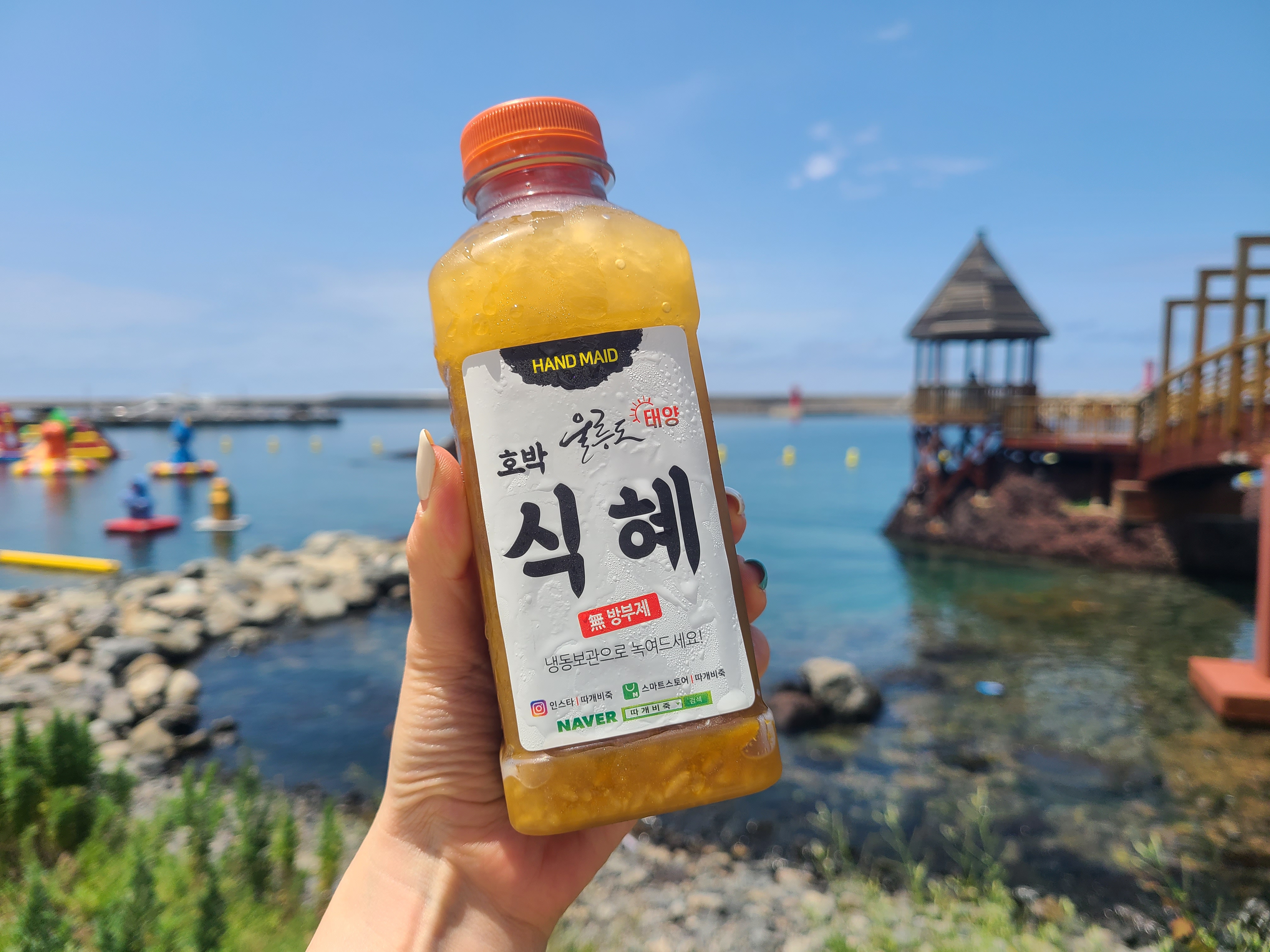 울릉도태양식당 따개비칼국수 본점 경상 애견맛집