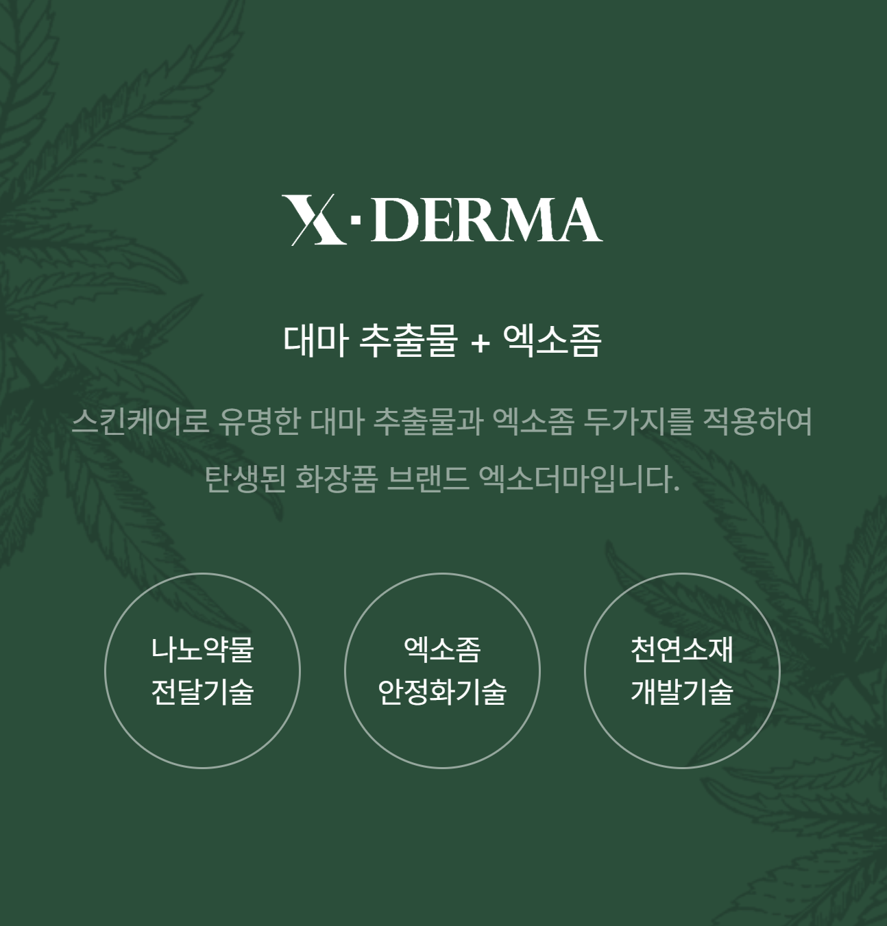 남양 바디&두피