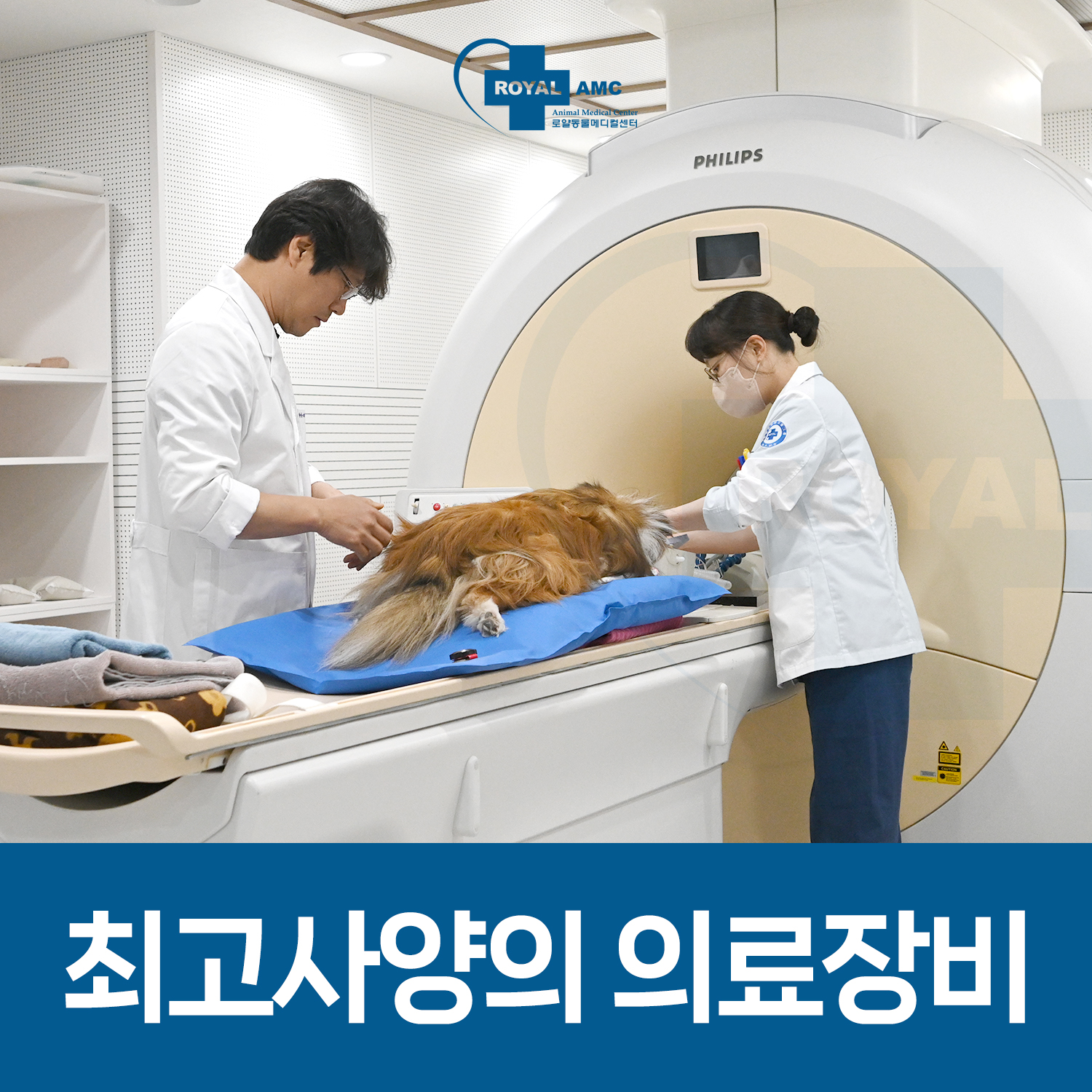 로얄동물암치료센터 대표 이미지