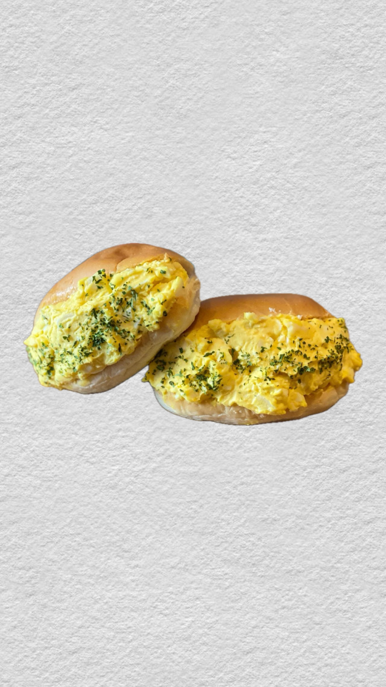 에이비오보 경상 애견맛집