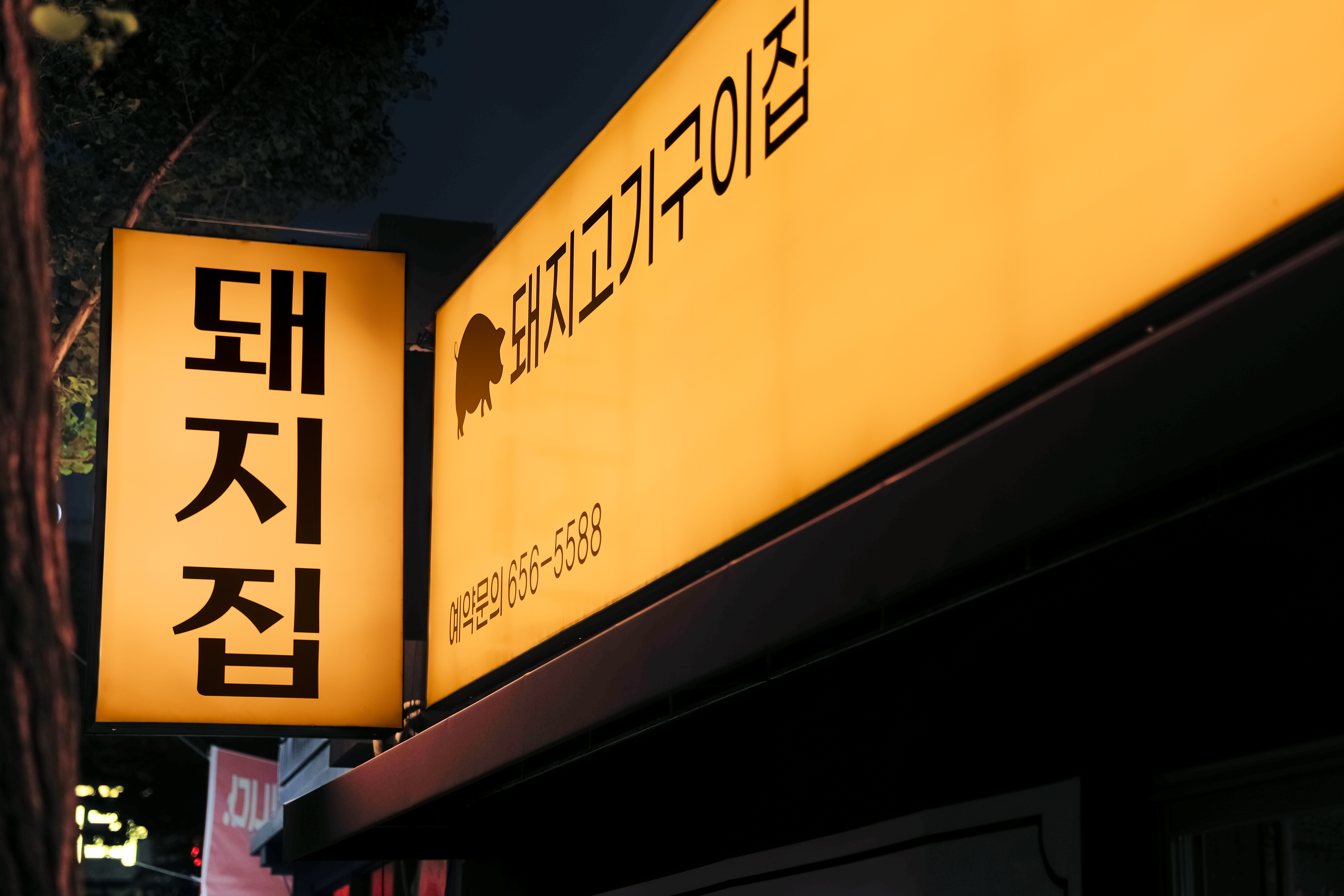 돈날