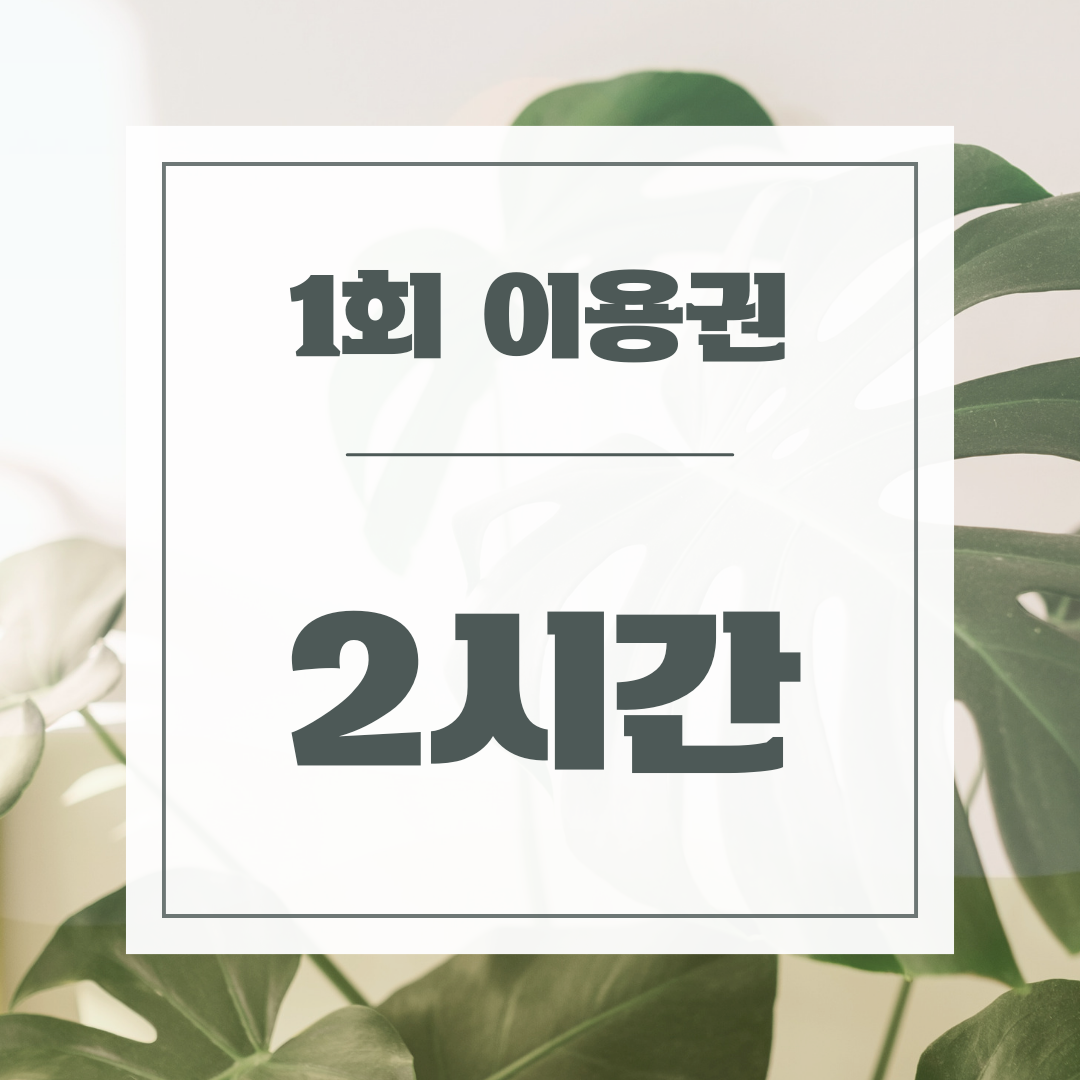 업체사진