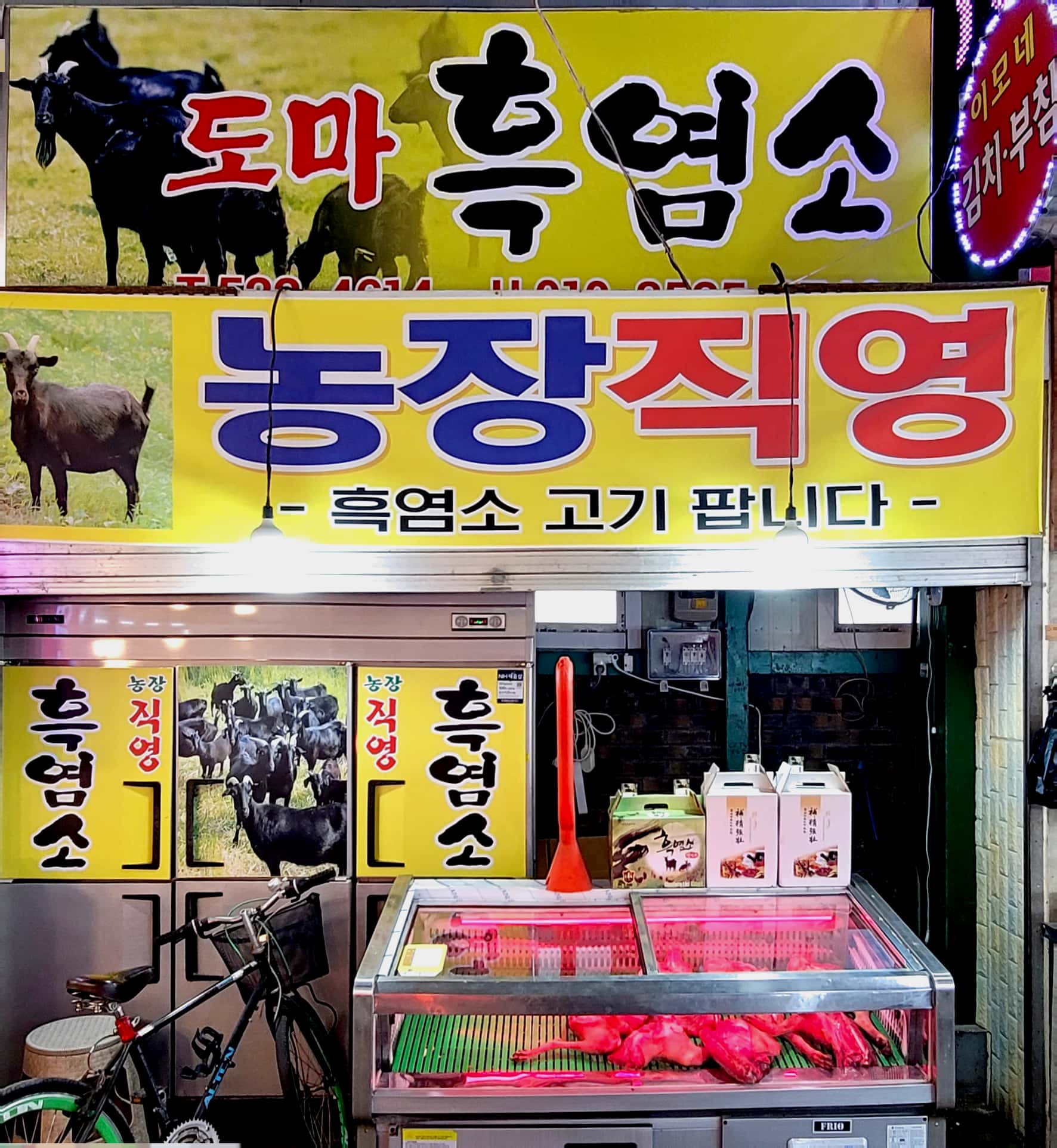 도마흑염소