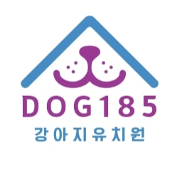 도그185 애견유치원