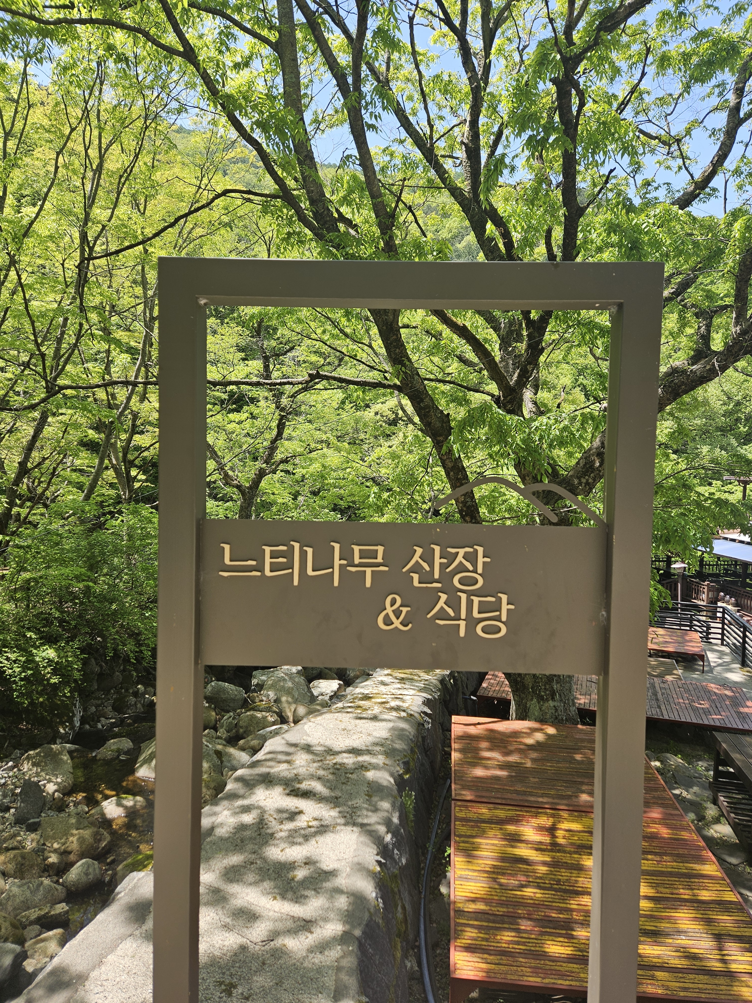 느티 반려동물 동반 애견카페