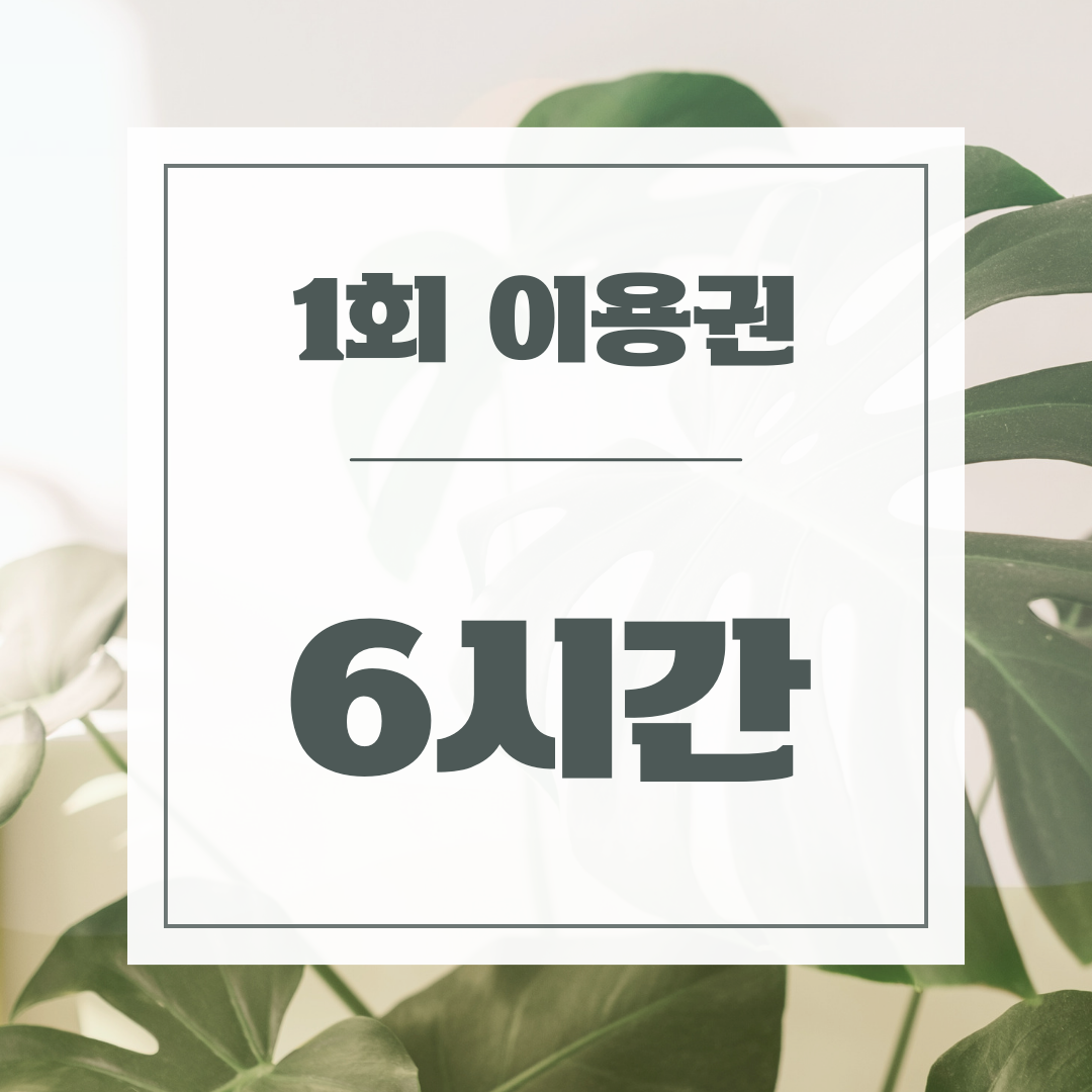 업체사진