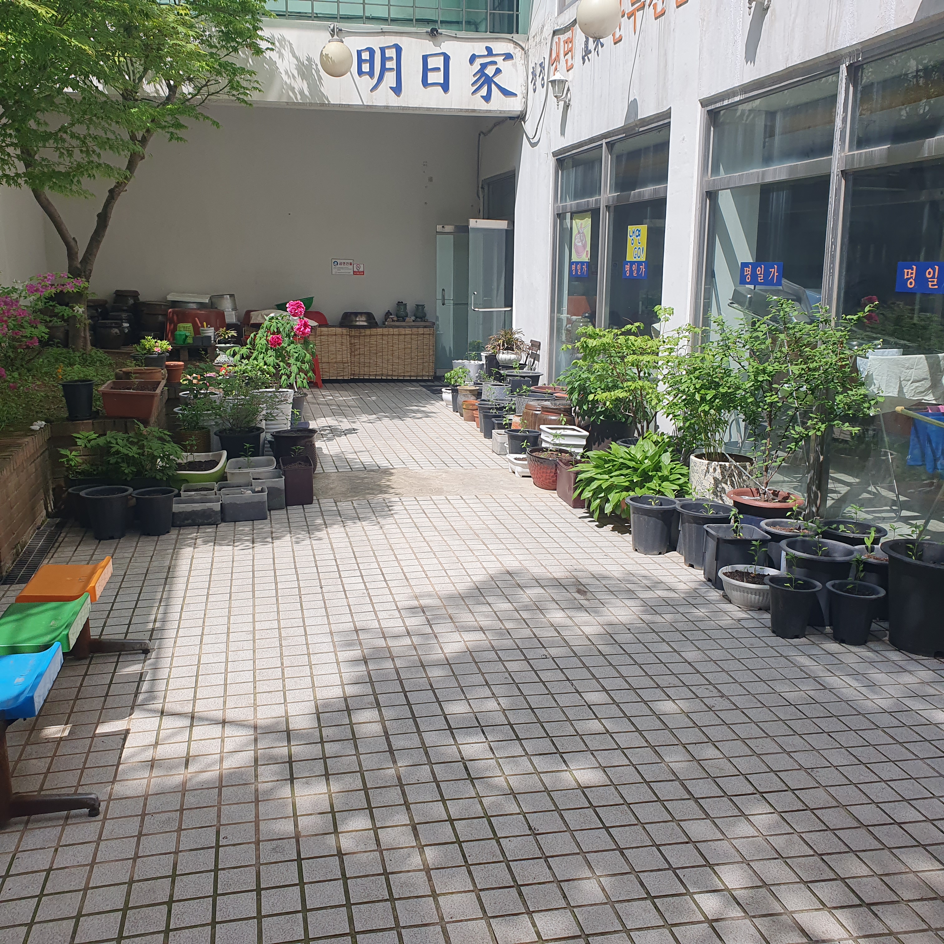 경기 부천시 오징어볶음맛집추천 오징어볶음전문점 소개합니다. 명일가
