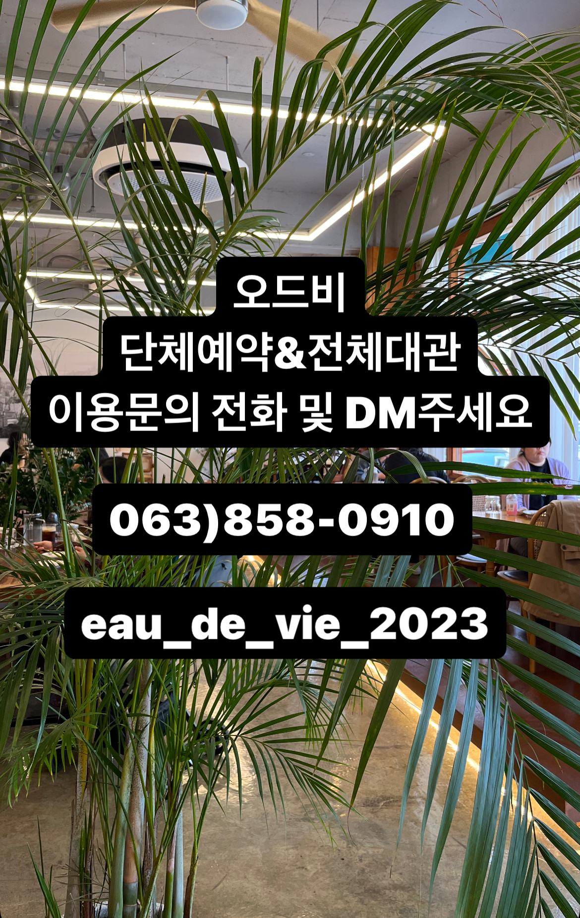 오드비