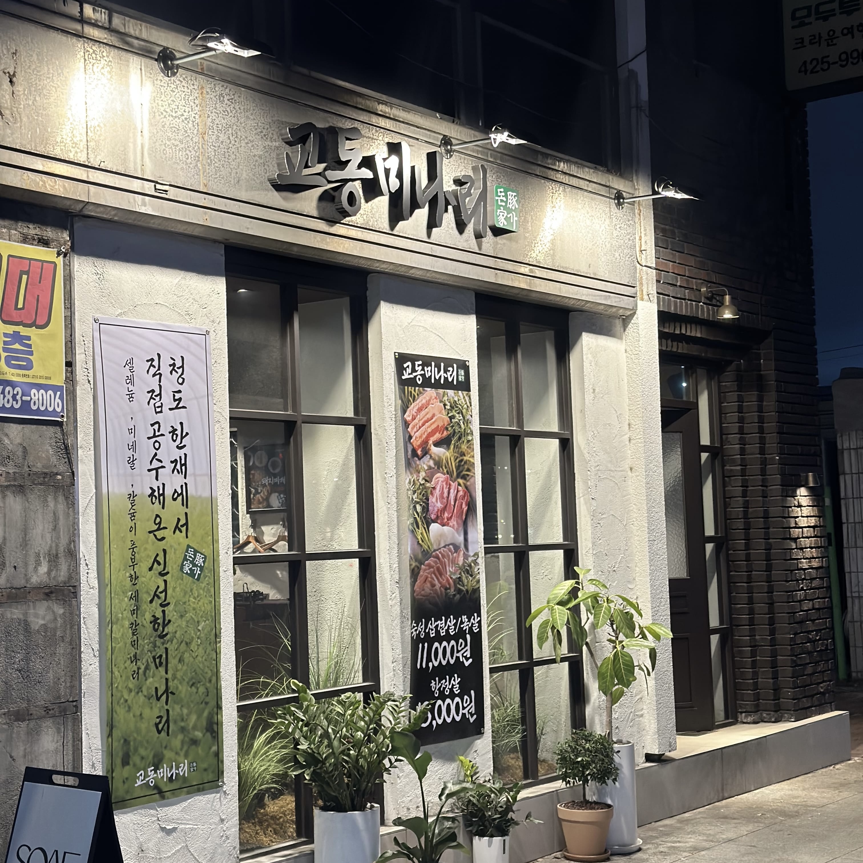 교동미나리