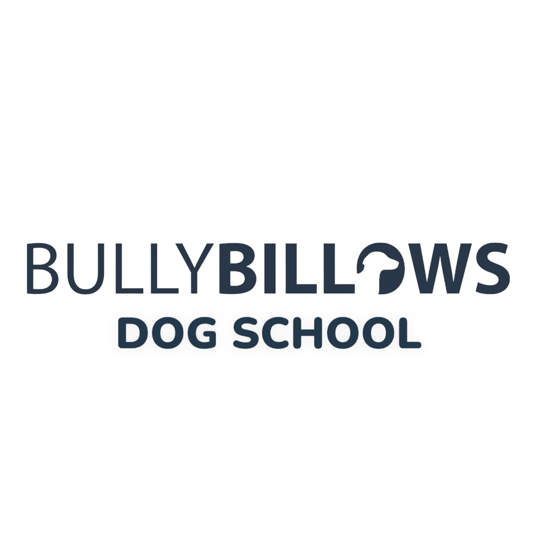 불리빌로우 대표 이미지