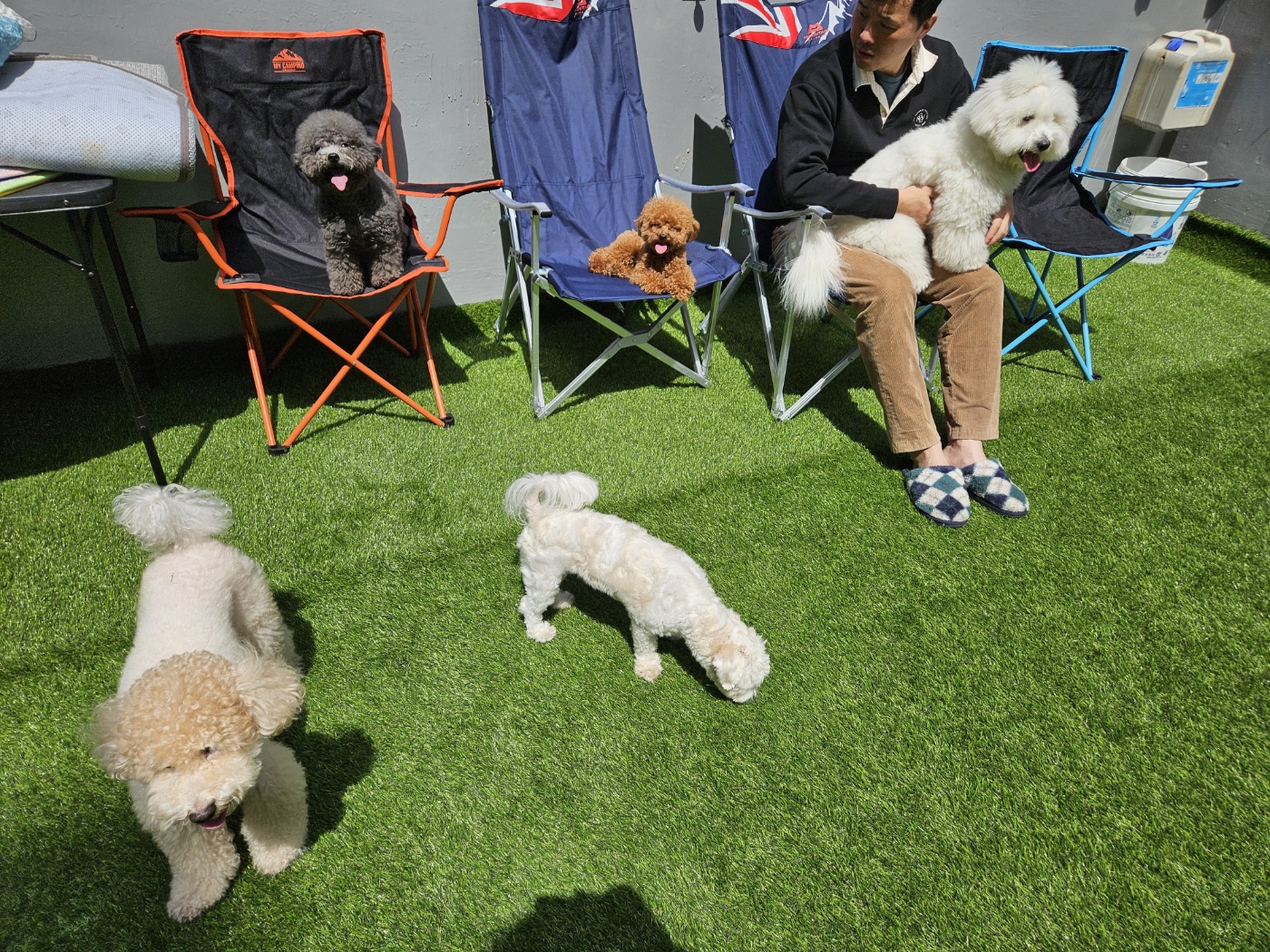 놀고쉬다가개 애견유치원&애견호텔 대표 이미지