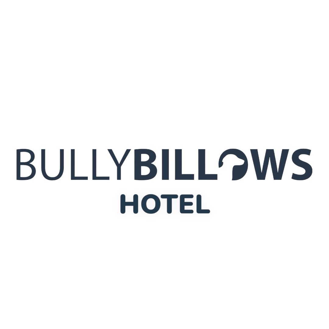 불리빌로우 센터 대표 이미지