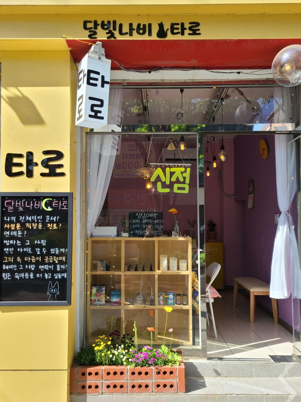달빛나비타로