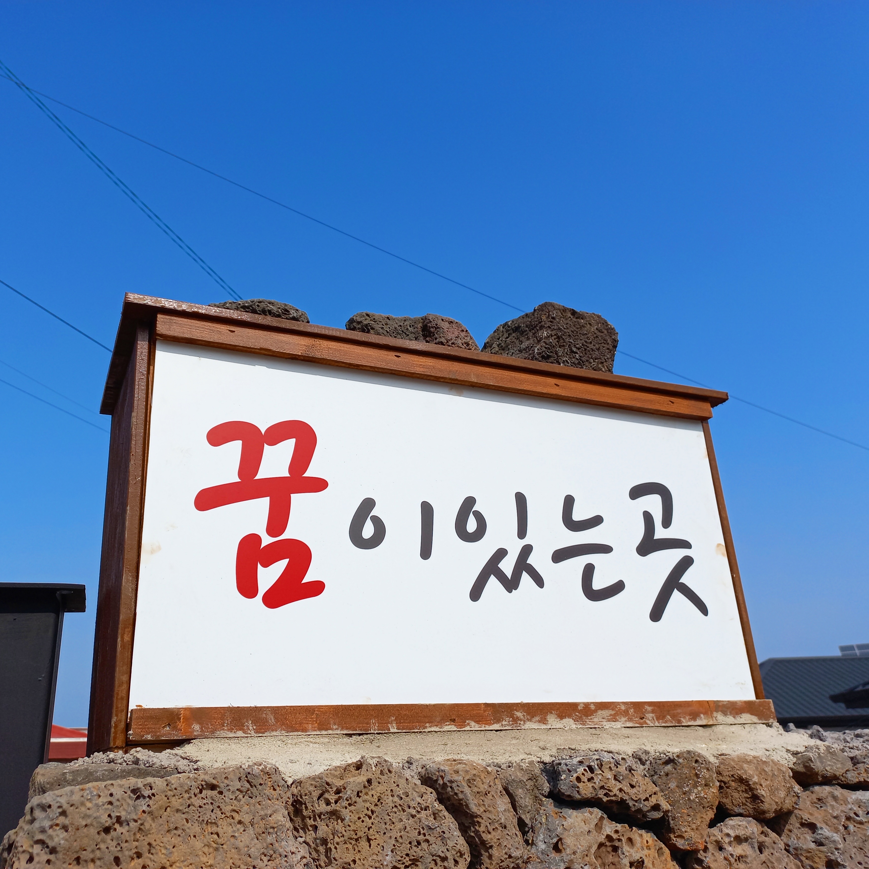 꿈이 있는 곳