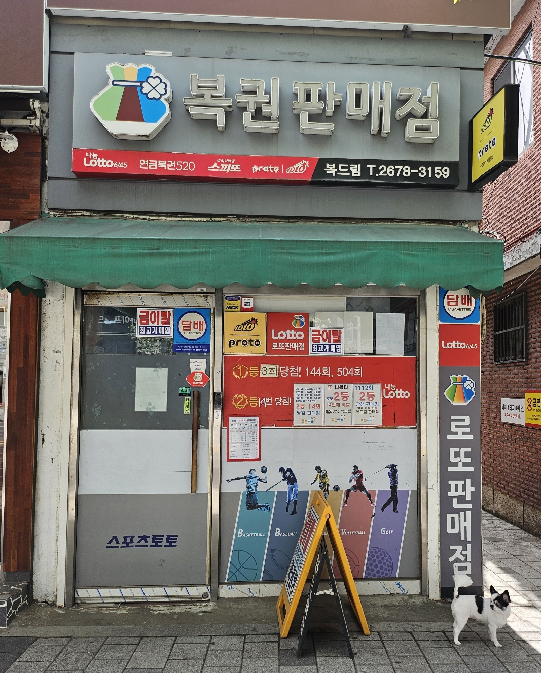 복드림
